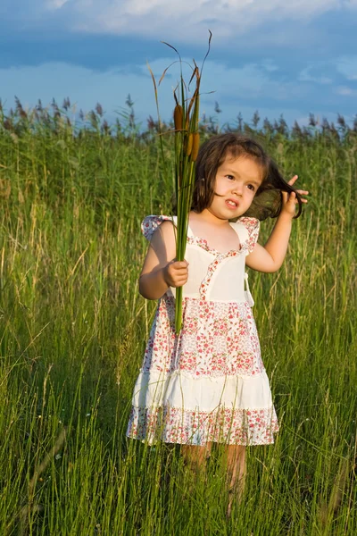 Girl holding reeds — Stock Photo, Image