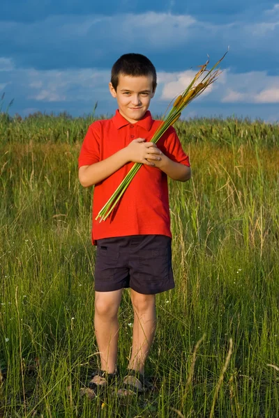 Niño sosteniendo cañas —  Fotos de Stock