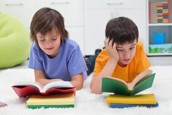 Boys reading books ストック写真