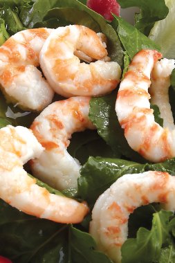 karides, deniz ürünleri