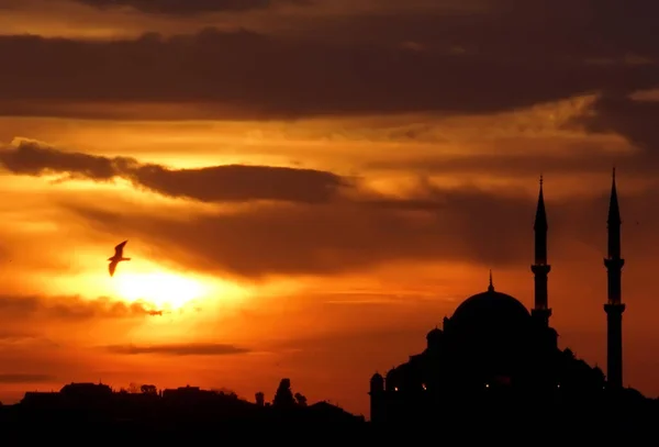 सूर्यास्ताला मशिदी आणि पक्षी स्टॉक फोटो