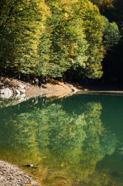                                Renkli ağaçlar ve sonbaharda göldeki ağaçların yansıması.