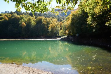                                Renkli ağaçlar ve sonbaharda göldeki ağaçların yansıması.