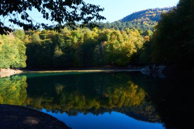                                Renkli ağaçlar ve sonbaharda göldeki ağaçların yansıması.