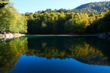                                Renkli ağaçlar ve sonbaharda göldeki ağaçların yansıması.