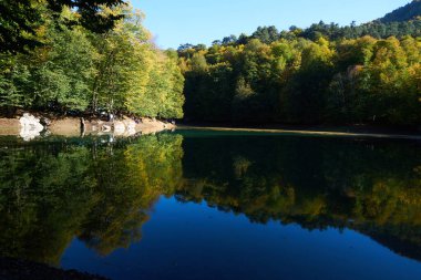                                Renkli ağaçlar ve sonbaharda göldeki ağaçların yansıması.