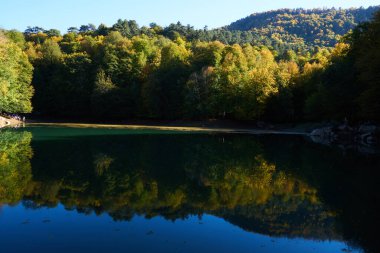                                Renkli ağaçlar ve sonbaharda göldeki ağaçların yansıması.