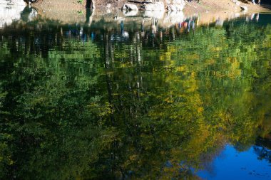                                Renkli ağaçlar ve sonbaharda göldeki ağaçların yansıması.
