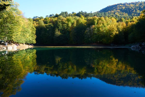                                Renkli ağaçlar ve sonbaharda göldeki ağaçların yansıması.