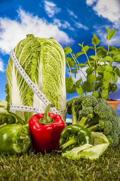 Bunte Fitness-Zusammensetzung, heller Hintergrund — Stockfoto