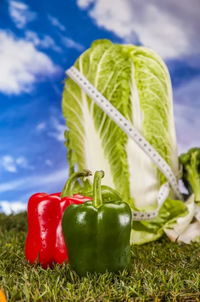 Kleurrijke fitness samenstelling, blauwe achtergrond — Stockfoto