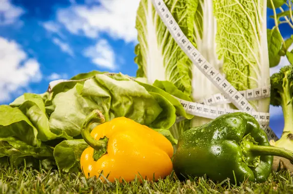 Fitnessartikel mit hellem Hintergrund — Stockfoto