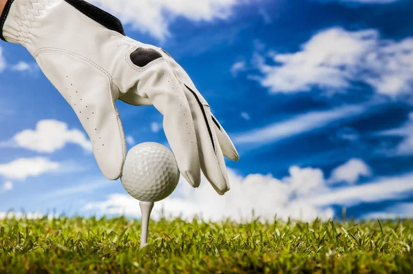 golf sahasındaki güneşli bir gün