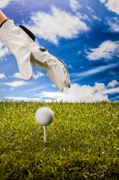 Sunny day on golf field — Stock Photo, Image