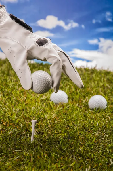 Golf equipment on green grass, golf field — Stock Photo, Image