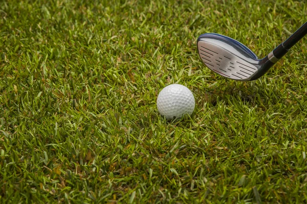 Tema de golfe colorido com grama verde — Fotografia de Stock