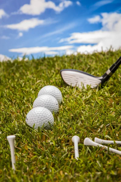 Cosas de golf profesional con hierba — Foto de Stock