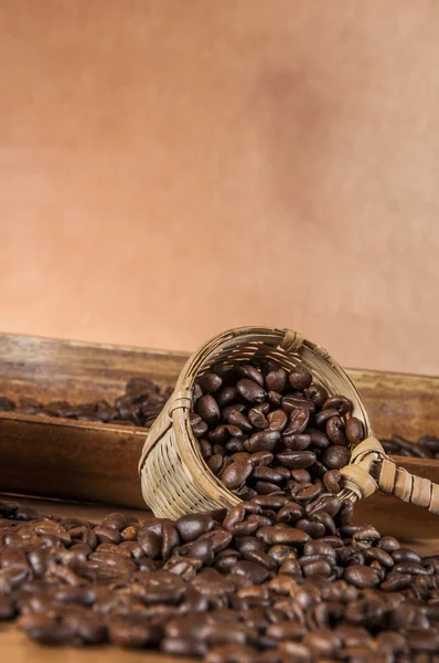 Koffie spullen, landelijke klimaat — Stockfoto