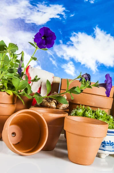 Tuinieren spullen met blauwe hemelachtergrond — Stockfoto