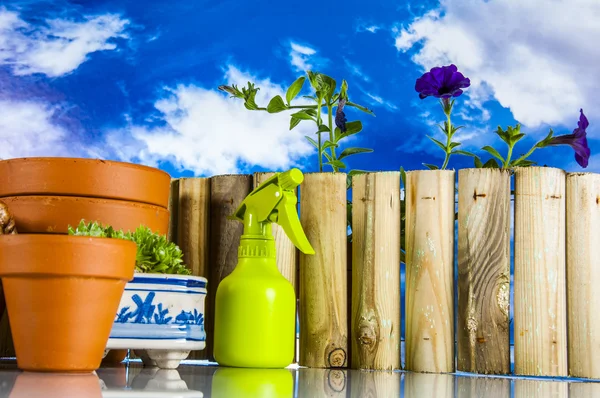 鮮やかな色と青色の背景と園芸のもの — ストック写真