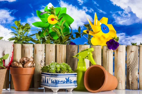 Tuin, tuinieren thema met licht blauwe achtergrond — Stockfoto