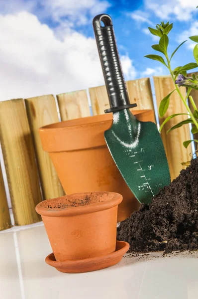 Bel tema del giardino, colori vivaci, sfondo luminoso — Foto Stock