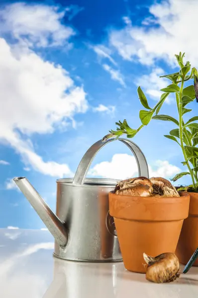 Tuinieren met landelijke stuff — Stockfoto