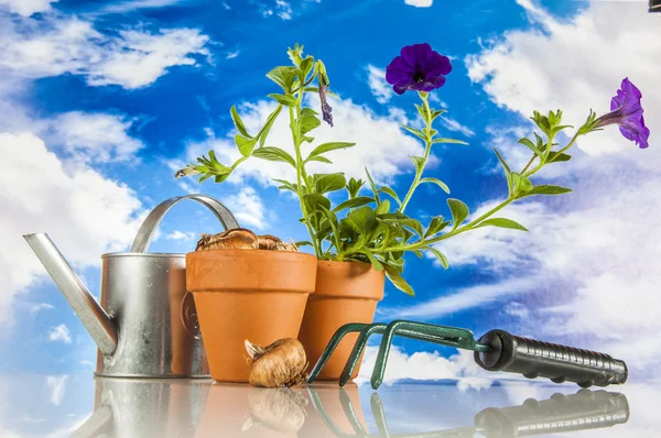 Tuinieren met landelijke stuff — Stockfoto