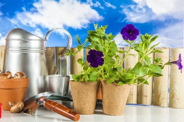 Tuinieren apparatuur met landelijke klimaat — Stockfoto