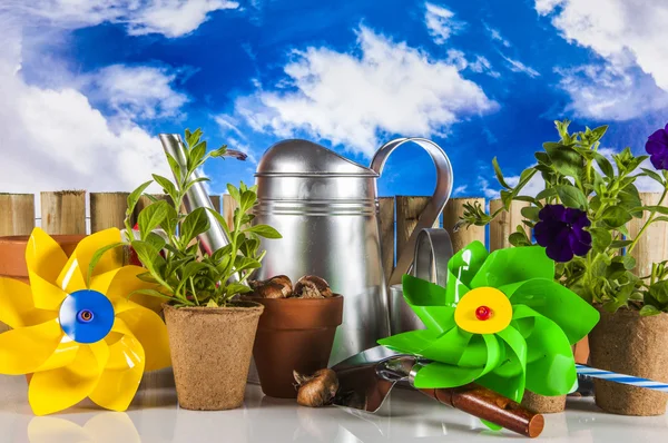 A vidéki környezet kertészeti eszközök — Stock Fotó