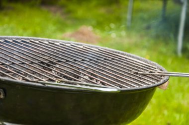 doymuş, dekoratif tema yeşil arka plana sahip ızgara