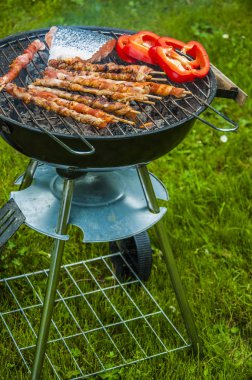 Tema Barbekü malzeme ile ızgara