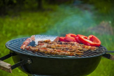 Tema Barbekü malzeme ile ızgara