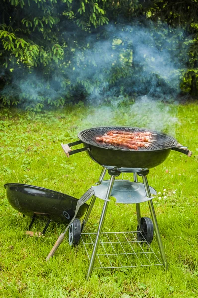 Tema de parrilla saturado y decorativo con fondo verde —  Fotos de Stock