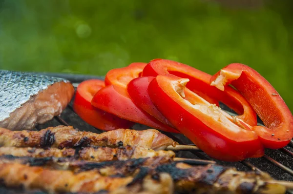 Tema de la parrilla de primavera, colores vivos —  Fotos de Stock