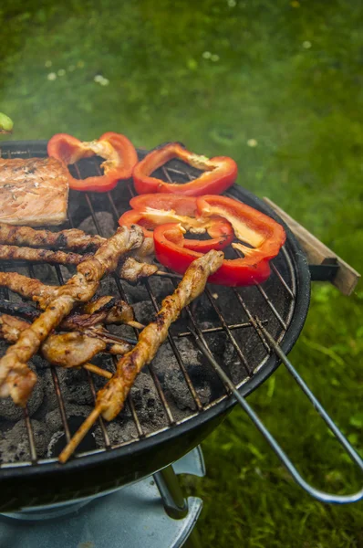 Fogo e tema de grelhar com comida grelhada — Fotografia de Stock