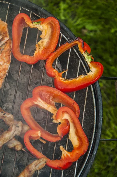 Fogo e tema de grelhar com comida grelhada — Fotografia de Stock