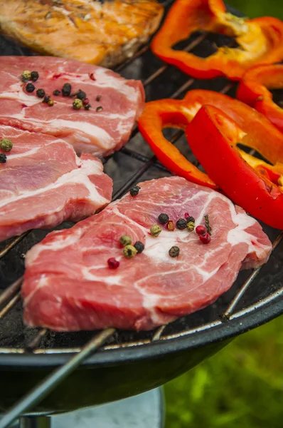 Grillen samenstelling in groene tuin — Stockfoto