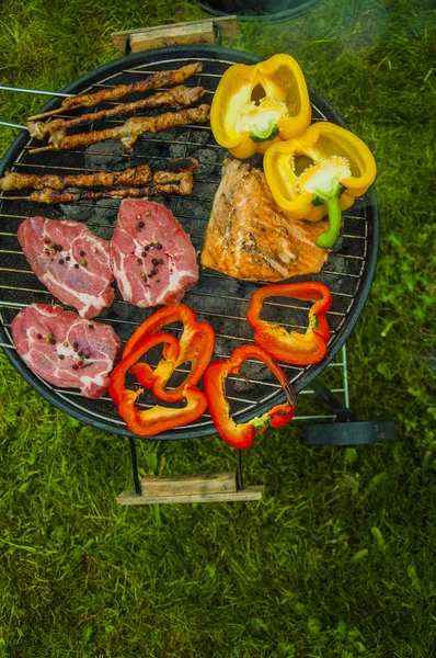 Carne caliente a la parrilla y verduras sobre fondo verde —  Fotos de Stock