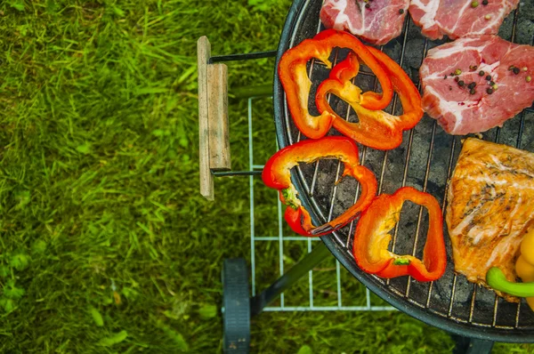 Carne alla griglia calda e verdure su sfondo verde — Foto Stock