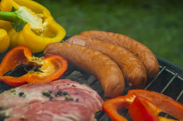 Жареное мясо и овощи на зеленом фоне — стоковое фото