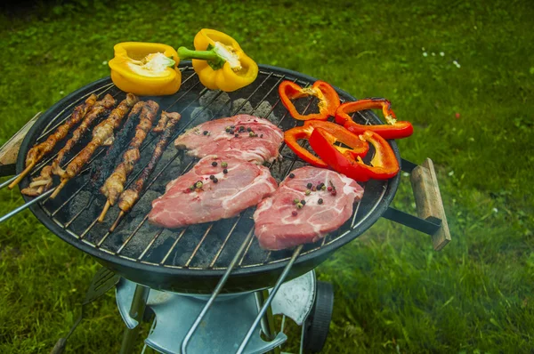 Жареное мясо и овощи на зеленом фоне — стоковое фото