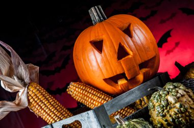 karanlık halloween pumpkins bileşimi