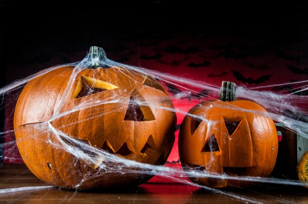 Donkere samenstelling van halloween thema — Stockfoto