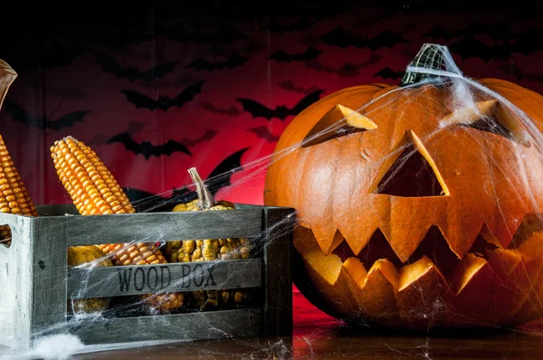 Halloween pumpkin — Stock Photo, Image