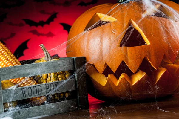 Zucca di Halloween — Foto Stock