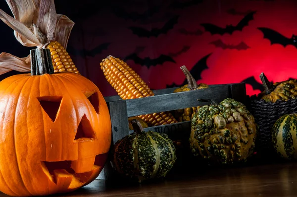 Calabaza de Halloween — Foto de Stock