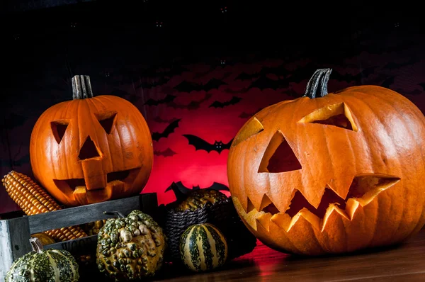 Composición oscura de calabazas de halloween — Foto de Stock