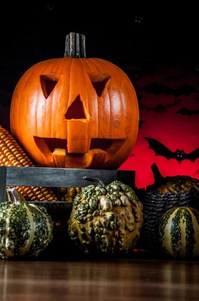 Composición oscura de calabazas de halloween — Foto de Stock