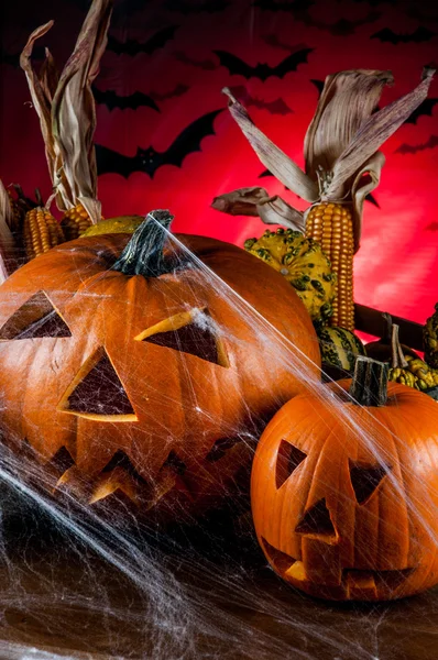 Tema Scary halloween con calabaza — Foto de Stock